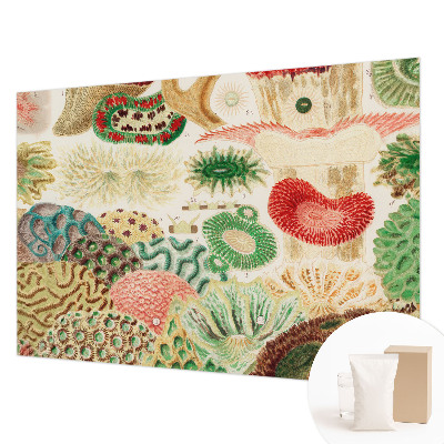 Fototapet Organiske former