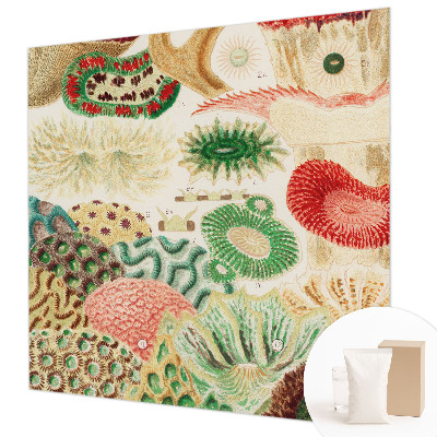 Fototapet Organiske former