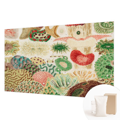 Fototapet Organiske former