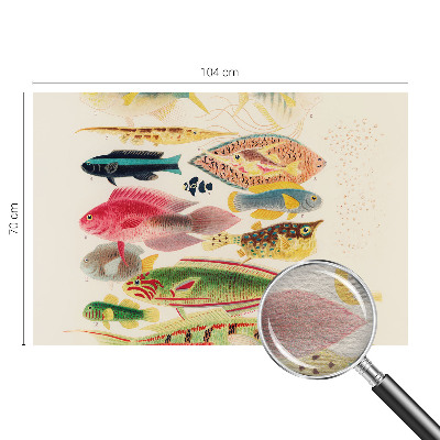 Tapet Farverige fisk