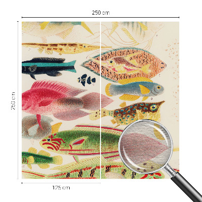 Tapet Farverige fisk