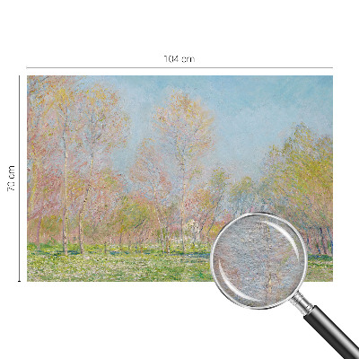 Fototapet vlies pe perete Forårsparken