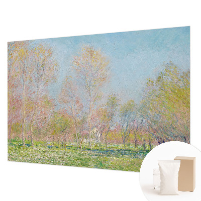 Fototapet vlies pe perete Forårsparken