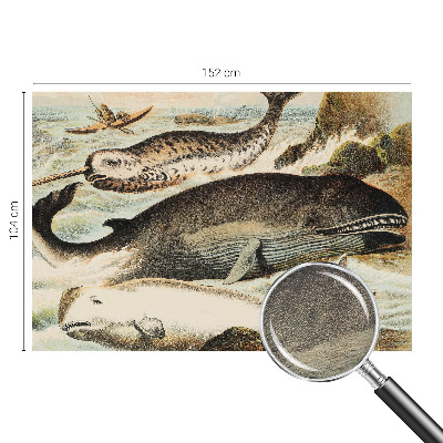 Fototapet modern pentru living Havgiganter