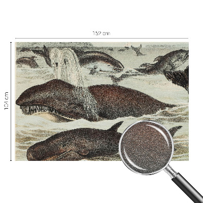 Fototapet la comandă Havdyr