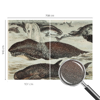 Fototapet la comandă Havdyr