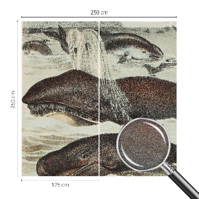 Fototapet la comandă Havdyr