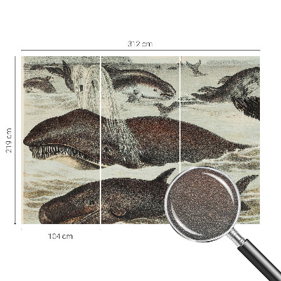 Fototapet la comandă Havdyr