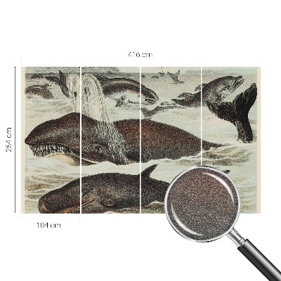 Fototapet la comandă Havdyr