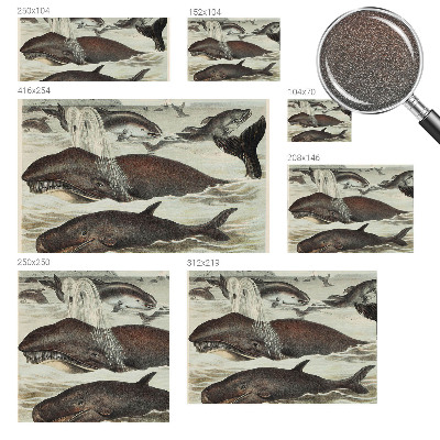 Fototapet la comandă Havdyr