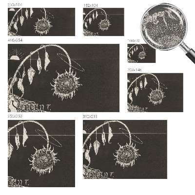 Fototapet la comandă pentru dormitor Nostalgisk solsikke