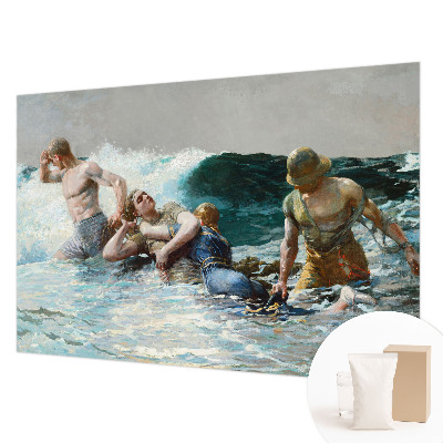 Fototapet pentru living Søkamp