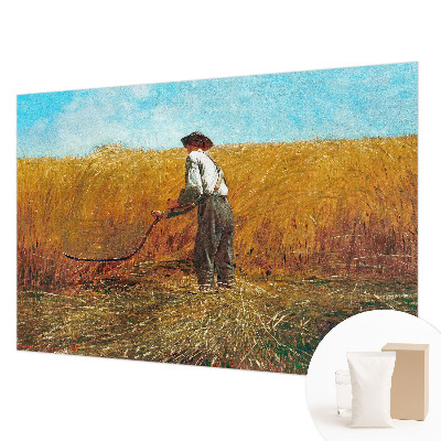 Fototapet Høst i solen