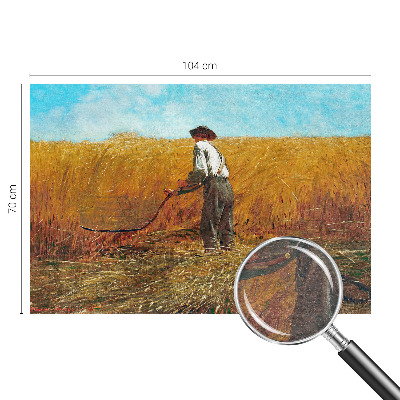 Fototapet Høst i solen