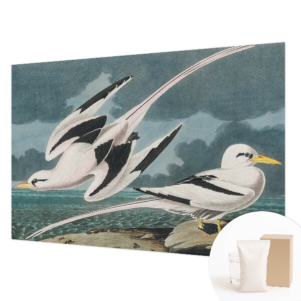 Fototapet decorativ pe perete Fugle ved havet