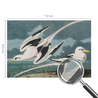 Fototapet decorativ pe perete Fugle ved havet