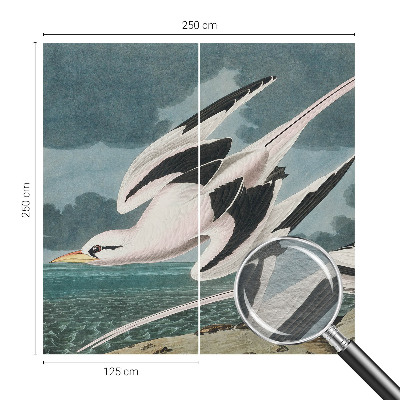 Fototapet decorativ pe perete Fugle ved havet