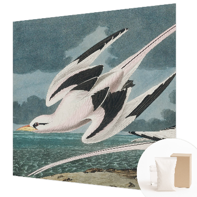 Fototapet decorativ pe perete Fugle ved havet