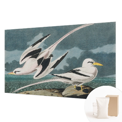 Fototapet decorativ pe perete Fugle ved havet