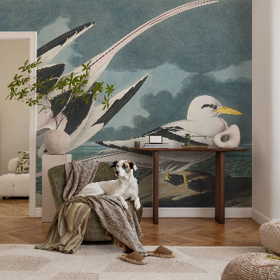 Fototapet decorativ pe perete Fugle ved havet