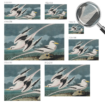 Fototapet decorativ pe perete Fugle ved havet