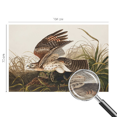 Fototapet modern Vinget skønhed