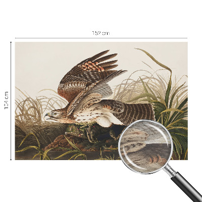 Fototapet modern Vinget skønhed