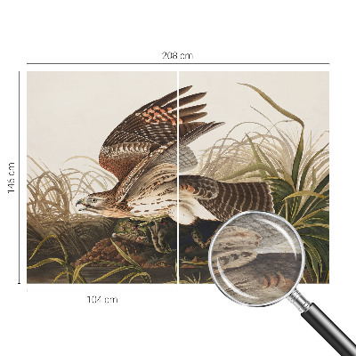 Fototapet modern Vinget skønhed