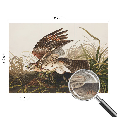 Fototapet modern Vinget skønhed