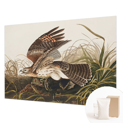 Fototapet modern Vinget skønhed