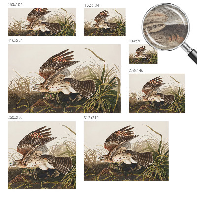 Fototapet modern Vinget skønhed