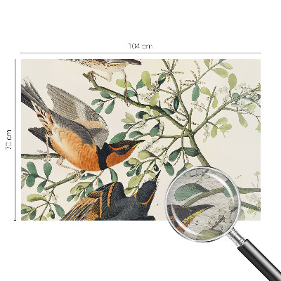 Fototapet modern la comandă Farverige fugle