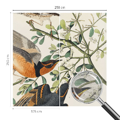 Fototapet modern la comandă Farverige fugle