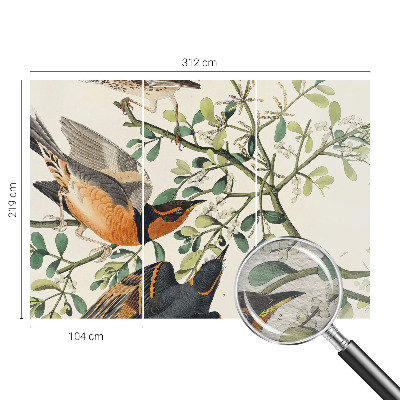 Fototapet modern la comandă Farverige fugle