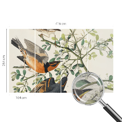 Fototapet modern la comandă Farverige fugle