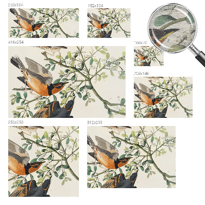 Fototapet modern la comandă Farverige fugle