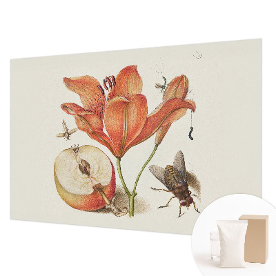 Fototapet vlies Botanisk illustration