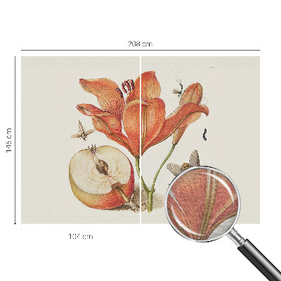 Fototapet vlies Botanisk illustration