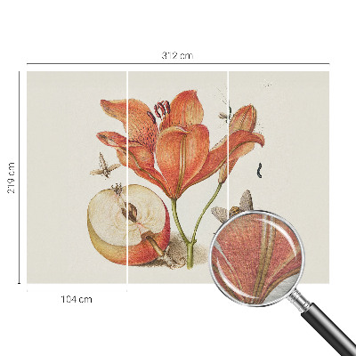 Fototapet vlies Botanisk illustration