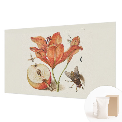 Fototapet vlies Botanisk illustration