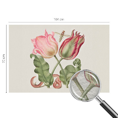 Fototapet Tulipan skønhed