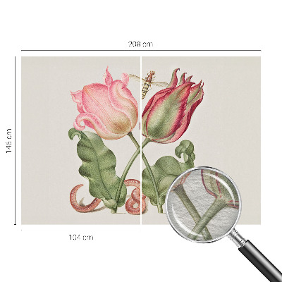 Fototapet Tulipan skønhed