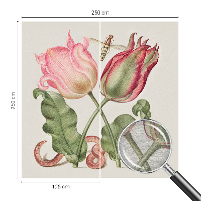 Fototapet Tulipan skønhed