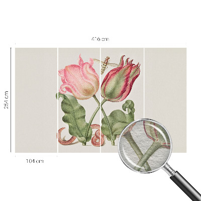 Fototapet Tulipan skønhed