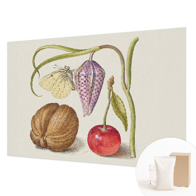 Fototapet vlies pe perete Sommerfugleplante