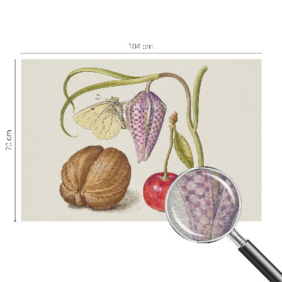 Fototapet vlies pe perete Sommerfugleplante