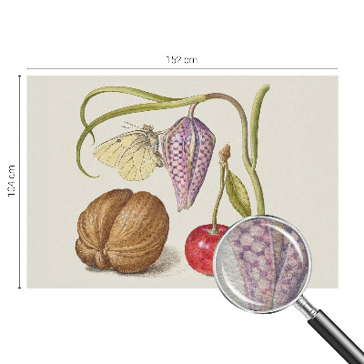 Fototapet vlies pe perete Sommerfugleplante