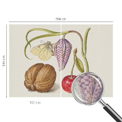 Fototapet vlies pe perete Sommerfugleplante