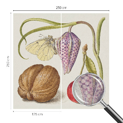 Fototapet vlies pe perete Sommerfugleplante