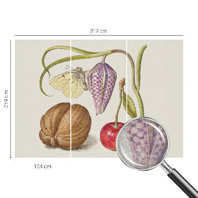 Fototapet vlies pe perete Sommerfugleplante